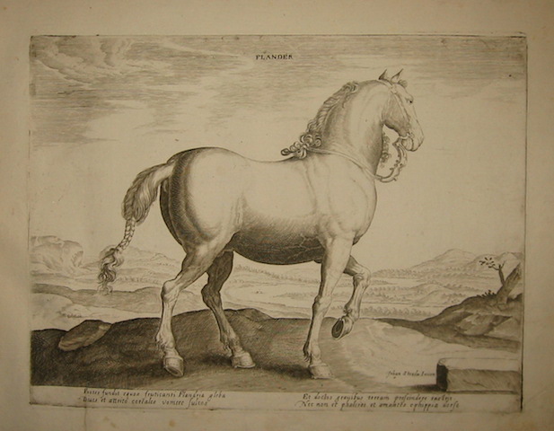 Stradanus Johannes (da un disegno di) Flander 1580 ca. Anversa